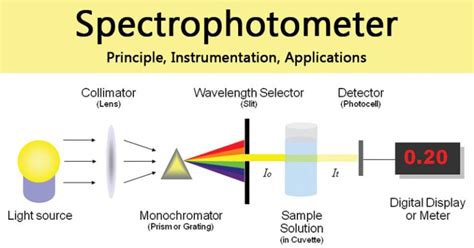 what does a spectrophotometer measure|is a spectrophotometer read wavelentgh.